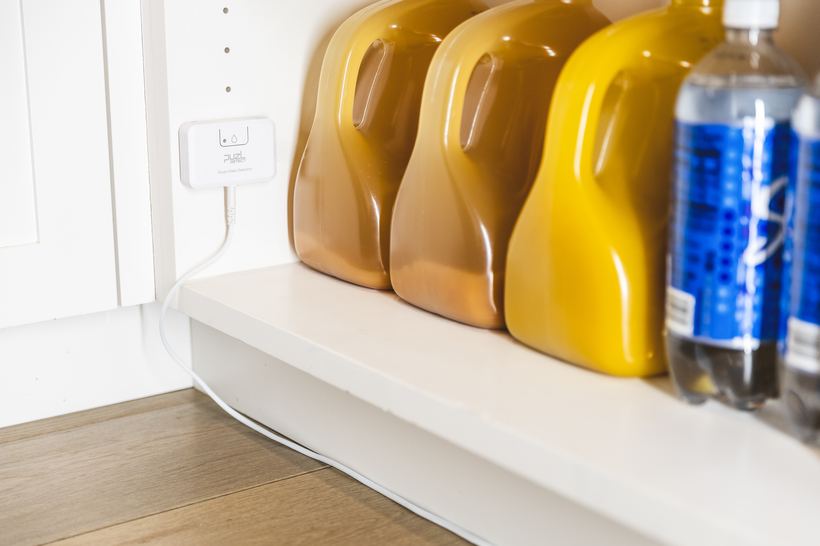 PuzL Detect on a pantry shelf beside stored bottles